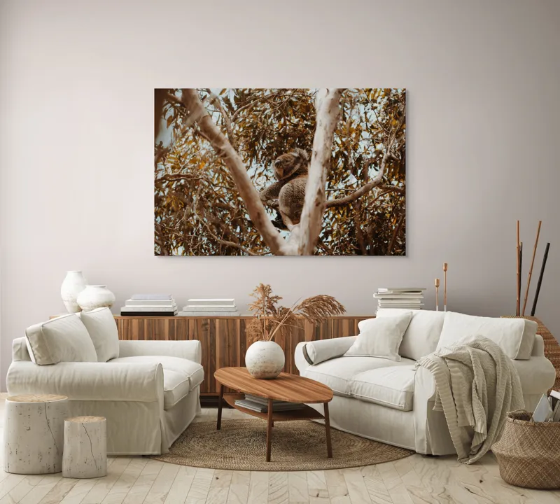 Tablou Canvas Natura Koala odihnindu-se printre ramuri mari, 150 x 100 cm – poza 3