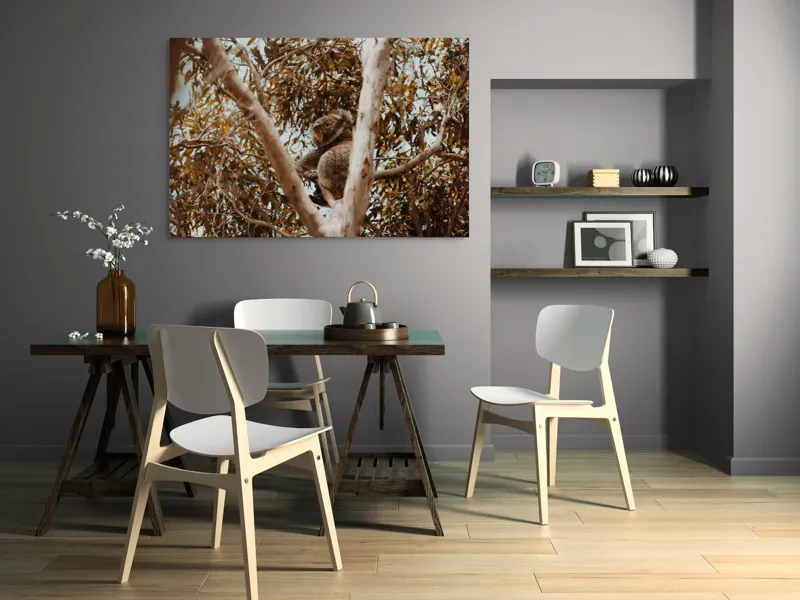 Tablou Canvas Natura Koala odihnindu-se printre ramuri mari, 150 x 100 cm – poza 5