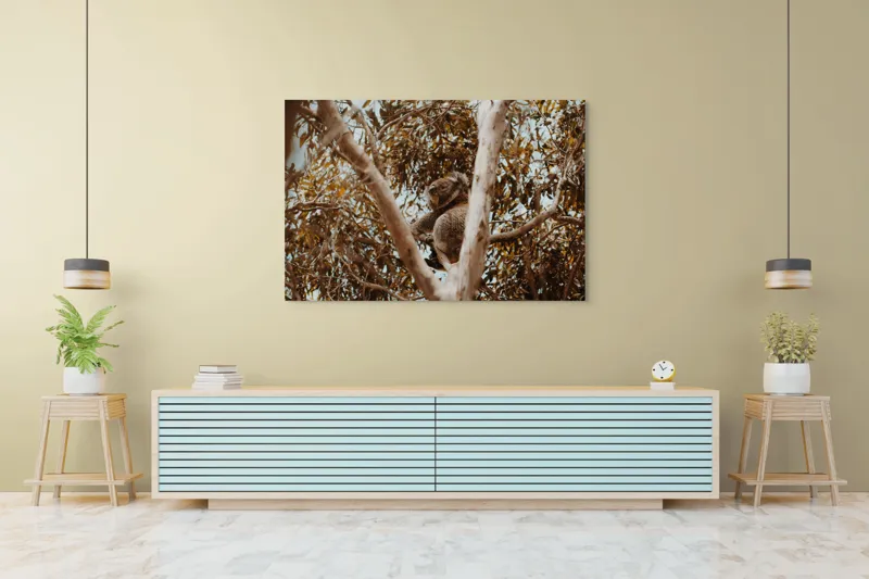 Tablou Canvas Natura Koala odihnindu-se printre ramuri mari, 150 x 100 cm – poza 6