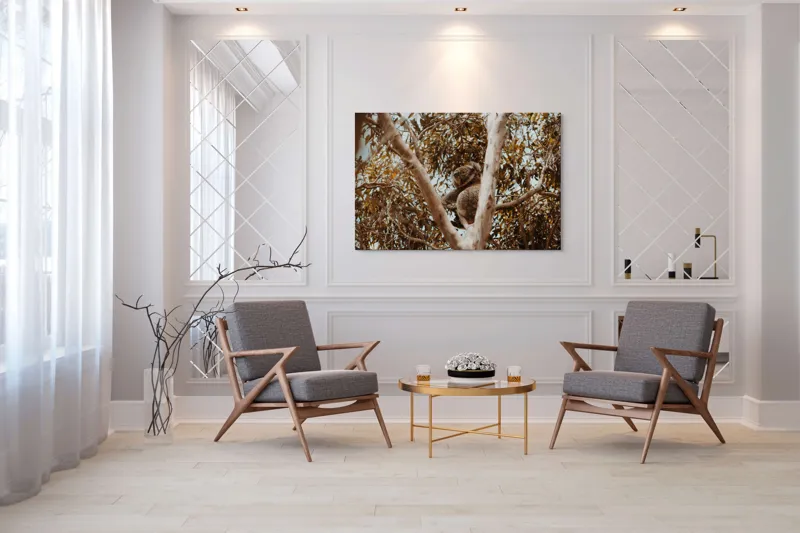 Tablou Canvas Natura Koala odihnindu-se printre ramuri mari, 150 x 100 cm – poza 7