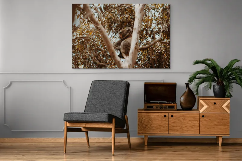 Tablou Canvas Natura Koala odihnindu-se printre ramuri mari, 150 x 100 cm – poza 8