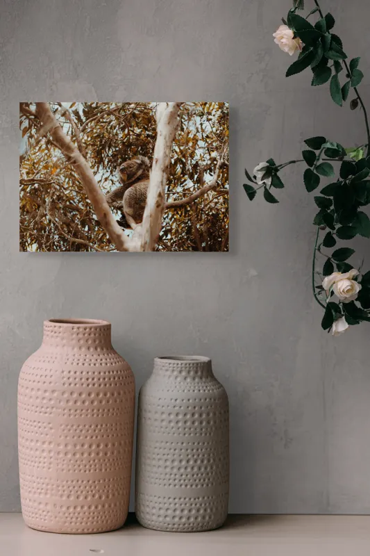 Tablou Canvas Natura Koala odihnindu-se printre ramuri mari, 54 x 39 cm – poza 8