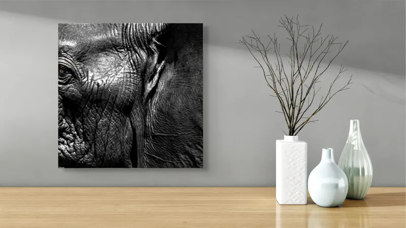 Tablou Canvas, "Elefantul înțelept al savanei africane", Elefant, Textură, Ochi, Piele, Detaliu, Umbre, Contrast, Monocrom, Riduri, 50 x 50 cm – poza 3