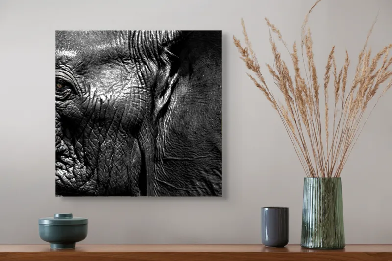 Tablou Canvas, "Elefantul înțelept al savanei africane", Elefant, Textură, Ochi, Piele, Detaliu, Umbre, Contrast, Monocrom, Riduri, 50 x 50 cm – poza 4