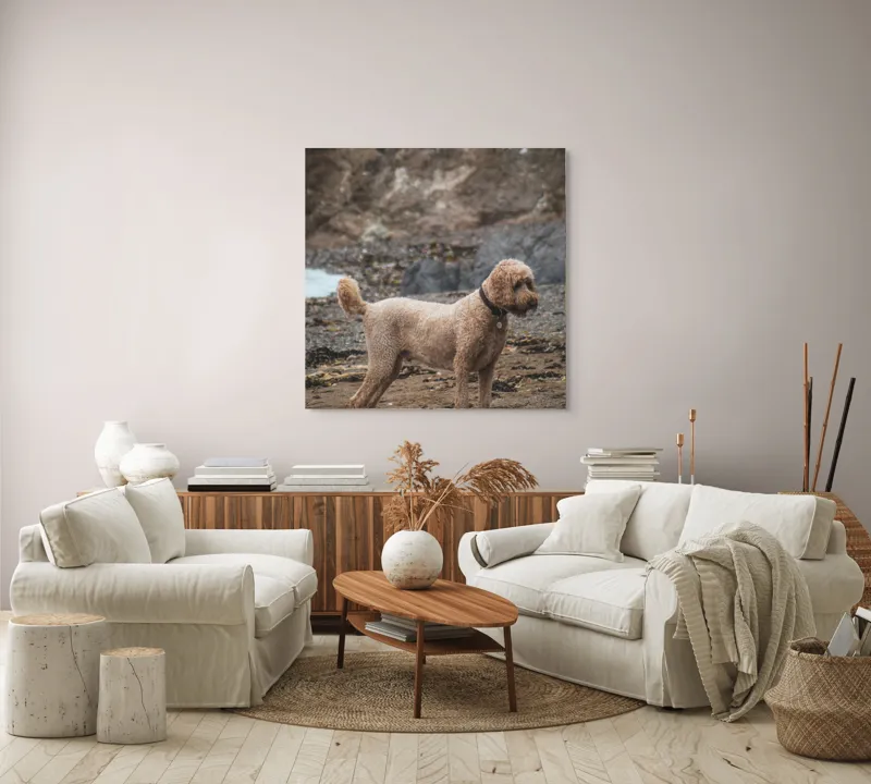 Tablou Canvas, "Câinele pe plajă în așteptare liniștită", 100 x 100 cm – poza 3