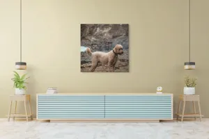 Tablou Canvas, "Câinele pe plajă în așteptare liniștită", 100 x 100 cm – poza 5