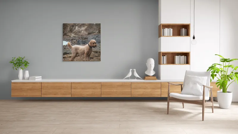 Tablou Canvas, "Câinele pe plajă în așteptare liniștită", 100 x 100 cm – poza 8