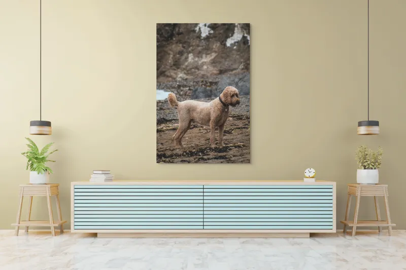 Tablou Canvas, "Câinele pe plajă în așteptare liniștită", 100 x 150 cm – poza 4