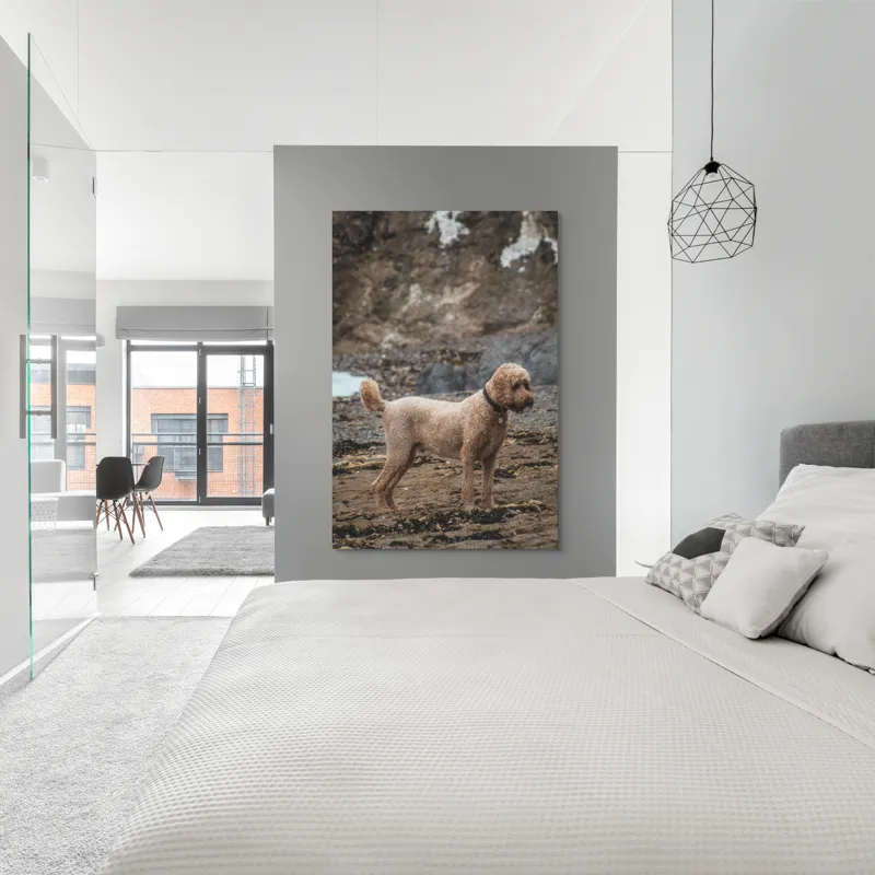 Tablou Canvas, "Câinele pe plajă în așteptare liniștită", 100 x 150 cm – poza 5
