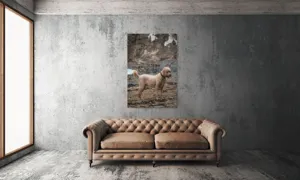 Tablou Canvas, "Câinele pe plajă în așteptare liniștită", 100 x 150 cm – poza 6
