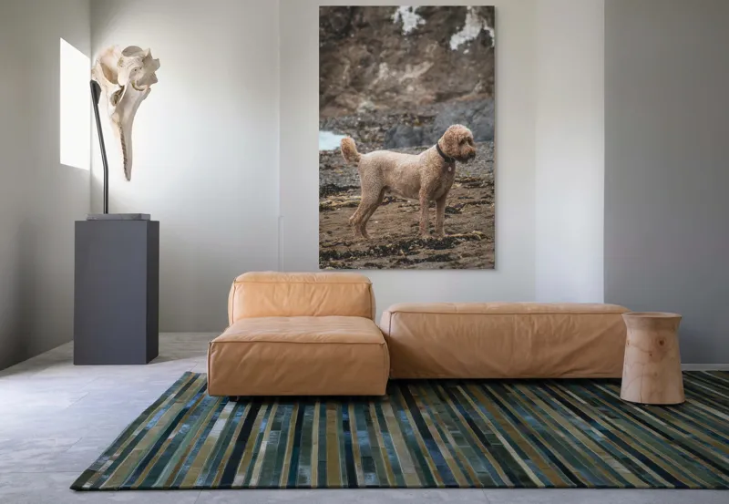 Tablou Canvas, "Câinele pe plajă în așteptare liniștită", 100 x 150 cm – poza 7