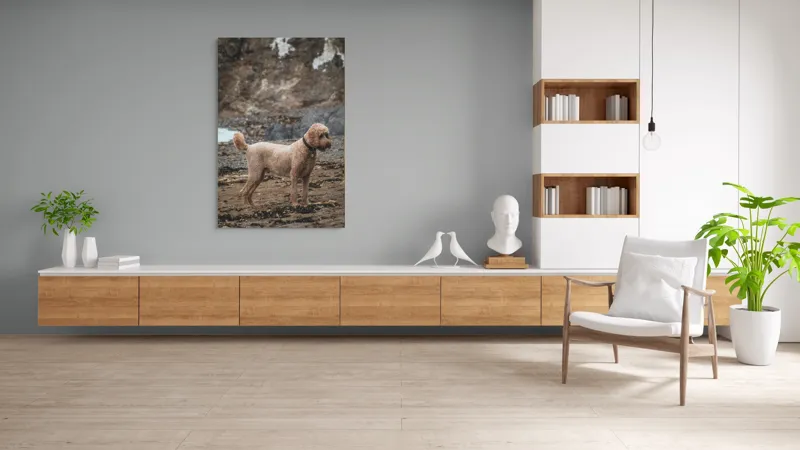 Tablou Canvas, "Câinele pe plajă în așteptare liniștită", 100 x 150 cm – poza 8