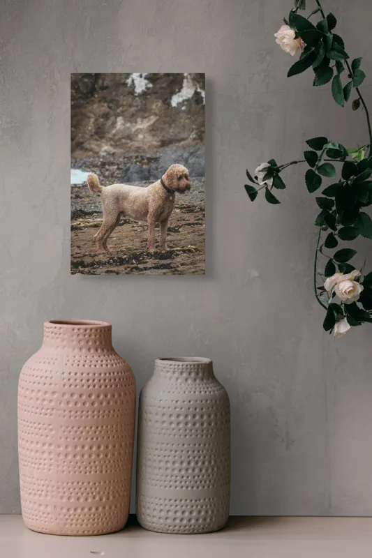 Tablou Canvas, "Câinele pe plajă în așteptare liniștită", Nu pot identifica persoana sau animalul din fotografie, dar pot spune că este un câine într-un mediu natural., 26 x 39 cm – poza 6
