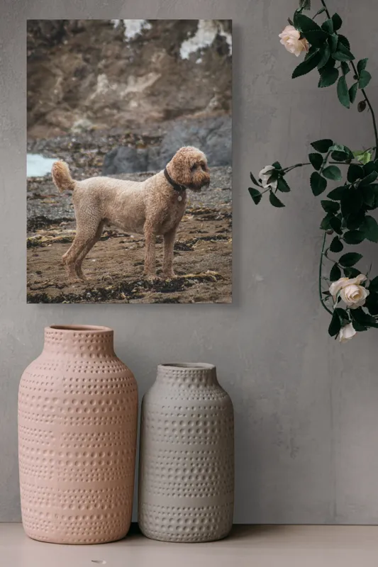 Tablou Canvas, "Câinele pe plajă în așteptare liniștită", Nu pot identifica persoana sau animalul din fotografie, dar pot spune că este un câine într-un mediu natural., 39 x 54 cm – poza 6