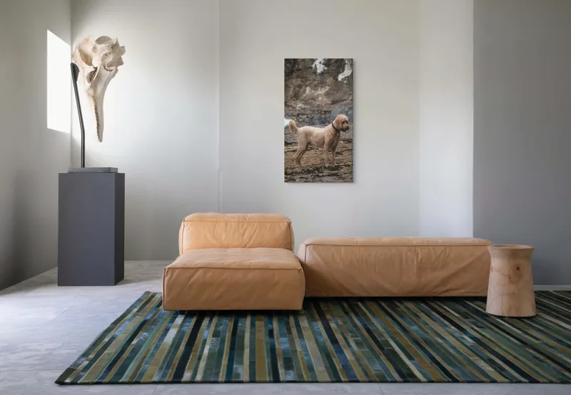 Tablou Canvas, "Câinele pe plajă în așteptare liniștită", 50 x 90 cm – poza 5