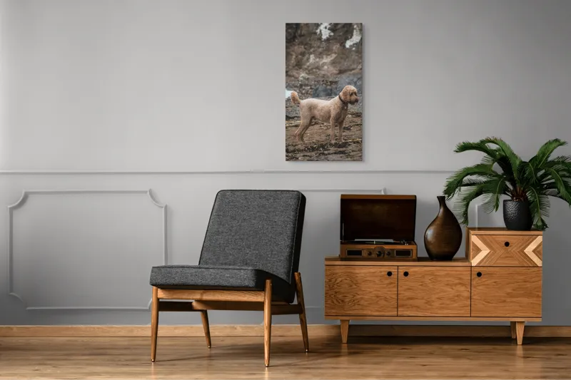 Tablou Canvas, "Câinele pe plajă în așteptare liniștită", 50 x 90 cm – poza 8