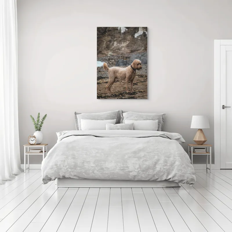 Tablou Canvas, "Câinele pe plajă în așteptare liniștită", 70 x 100 cm – poza 3