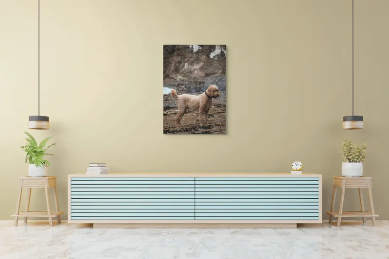 Tablou Canvas, "Câinele pe plajă în așteptare liniștită", 70 x 100 cm – poza 5