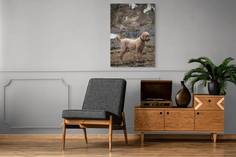 Tablou Canvas, "Câinele pe plajă în așteptare liniștită", 70 x 100 cm – poza 6