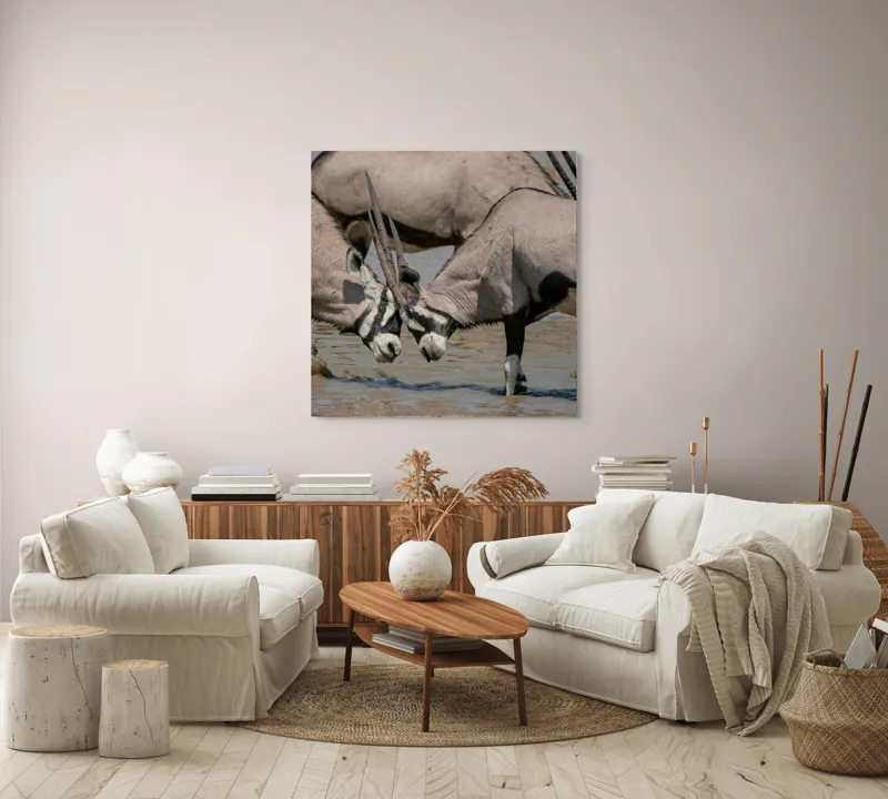 Tablou Canvas, "Oryxii se duelează la apă", Antilope, Coarne, Apă, Combat, Natură, Interacțiune, Sălbăticie, Animal., 100 x 100 cm – poza 3