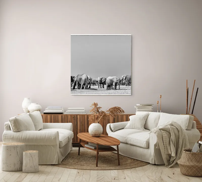Tablou Canvas, "Elefanți la adăpătoare în savană", Elefanți, Girafe, Savana, Peisaj, Alb, Negru, Natură, Animale, Întindere, Liniște, 100 x 100 cm – poza 3