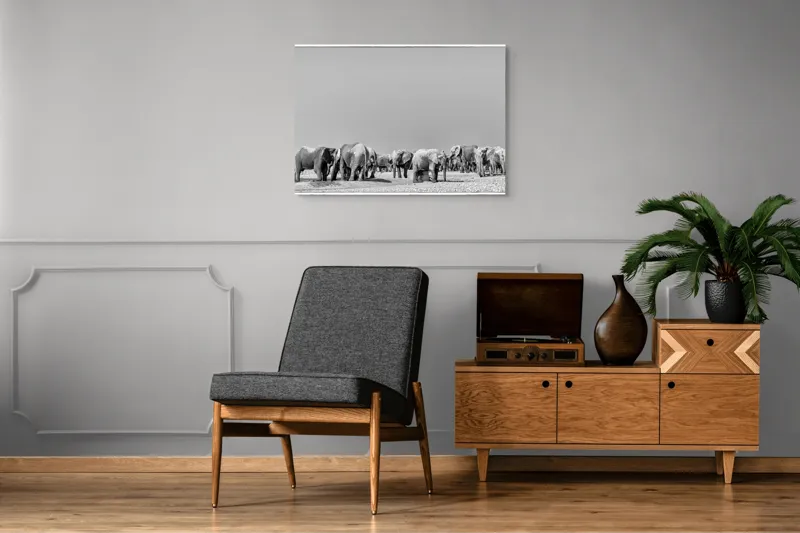 Tablou Canvas, "Elefanți la adăpătoare în savană", Elefanți, Girafe, Savana, Peisaj, Alb, Negru, Natură, Animale, Întindere, Liniște, 100 x 70 cm – poza 8