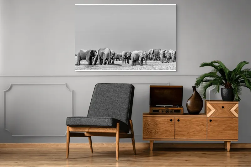 Tablou Canvas, "Elefanți la adăpătoare în savană", Elefanți, Girafe, Savana, Peisaj, Alb, Negru, Natură, Animale, Întindere, Liniște, 150 x 100 cm – poza 8