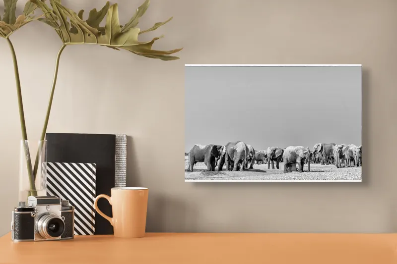 Tablou Canvas, "Elefanți la adăpătoare în savană", Elefanți, Girafe, Savana, Peisaj, Alb, Negru, Natură, Animale, Întindere, Liniște, 39 x 26 cm – poza 3