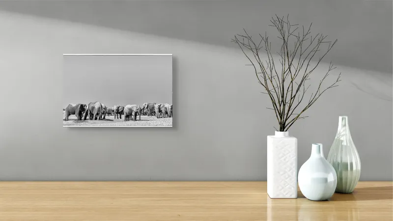 Tablou Canvas, "Elefanți la adăpătoare în savană", Elefanți, Girafe, Savana, Peisaj, Alb, Negru, Natură, Animale, Întindere, Liniște, 39 x 26 cm – poza 8