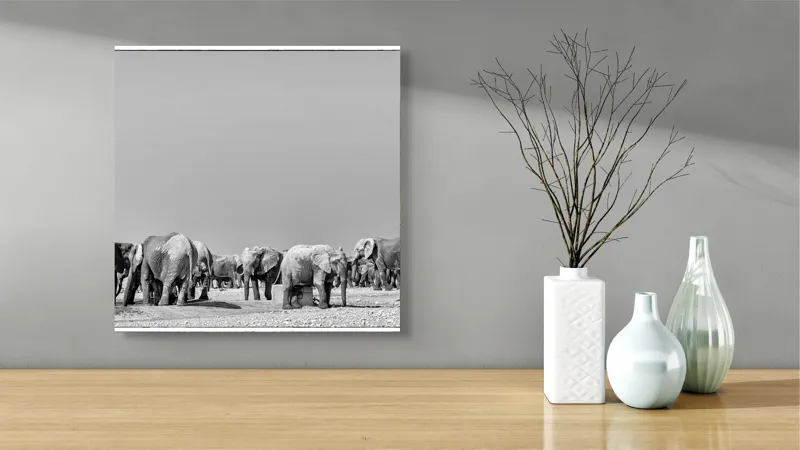 Tablou Canvas, "Elefanți la adăpătoare în savană", Elefanți, Girafe, Savana, Peisaj, Alb, Negru, Natură, Animale, Întindere, Liniște, 50 x 50 cm – poza 3