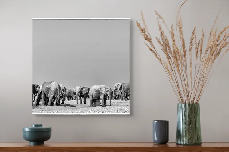 Tablou Canvas, "Elefanți la adăpătoare în savană", Elefanți, Girafe, Savana, Peisaj, Alb, Negru, Natură, Animale, Întindere, Liniște, 50 x 50 cm – poza 4