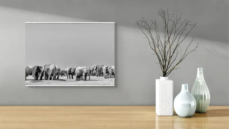 Tablou Canvas, "Elefanți la adăpătoare în savană", Elefanți, Girafe, Savana, Peisaj, Alb, Negru, Natură, Animale, Întindere, Liniște, 54 x 39 cm – poza 3