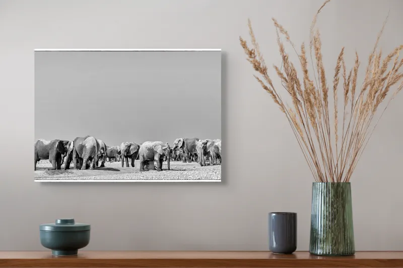 Tablou Canvas, "Elefanți la adăpătoare în savană", Elefanți, Girafe, Savana, Peisaj, Alb, Negru, Natură, Animale, Întindere, Liniște, 54 x 39 cm – poza 4