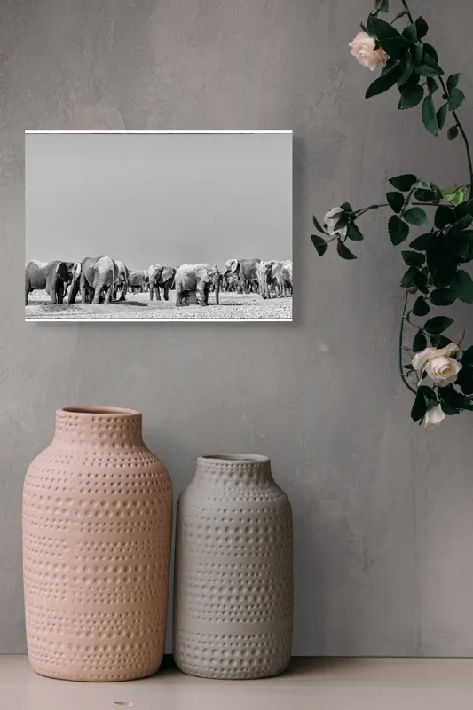 Tablou Canvas, "Elefanți la adăpătoare în savană", Elefanți, Girafe, Savana, Peisaj, Alb, Negru, Natură, Animale, Întindere, Liniște, 54 x 39 cm – poza 8