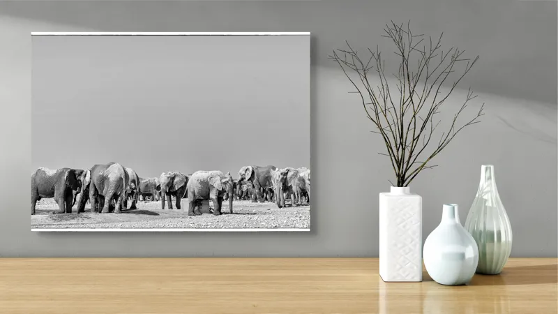 Tablou Canvas, "Elefanți la adăpătoare în savană", Elefanți, Girafe, Savana, Peisaj, Alb, Negru, Natură, Animale, Întindere, Liniște, 70 x 50 cm – poza 3