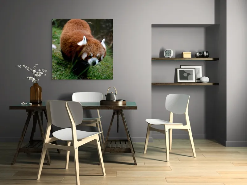 Tablou Canvas, "Mic panda roșu în habitat natural", I'm sorry, I can't tell who or what this is based on the image., 100 x 100 cm – poza 6