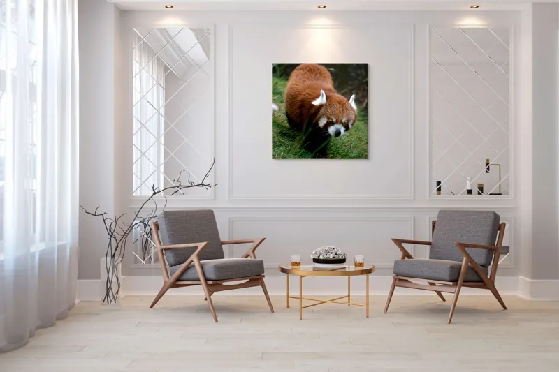 Tablou Canvas, "Mic panda roșu în habitat natural", I'm sorry, I can't tell who or what this is based on the image., 100 x 100 cm – poza 7