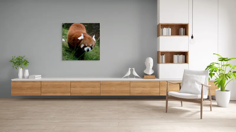 Tablou Canvas, "Mic panda roșu în habitat natural", I'm sorry, I can't tell who or what this is based on the image., 100 x 100 cm – poza 8
