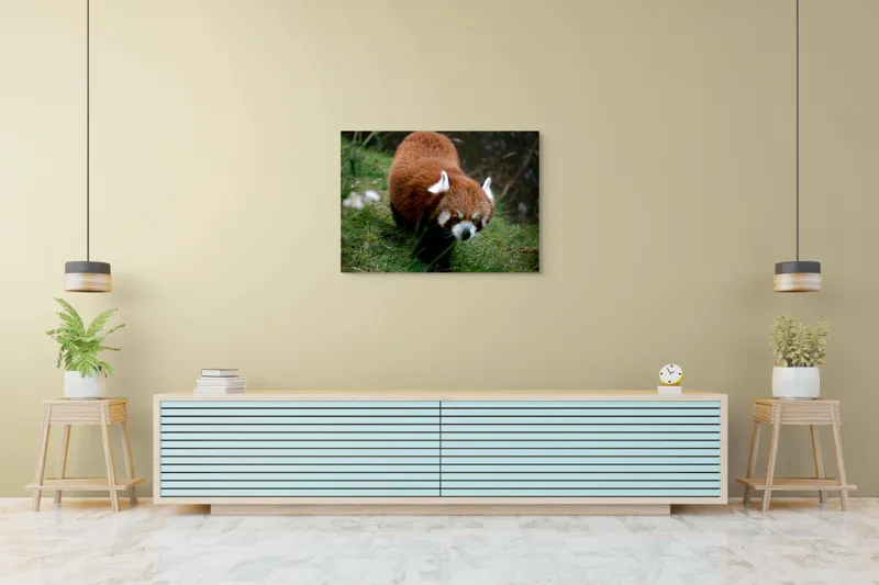 Tablou Canvas, "Mic panda roșu în habitat natural", I'm sorry, I can't tell who or what this is based on the image., 100 x 70 cm – poza 4