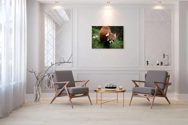 Tablou Canvas, "Mic panda roșu în habitat natural", I'm sorry, I can't tell who or what this is based on the image., 100 x 70 cm – poza 5