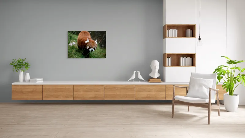 Tablou Canvas, "Mic panda roșu în habitat natural", I'm sorry, I can't tell who or what this is based on the image., 100 x 70 cm – poza 6