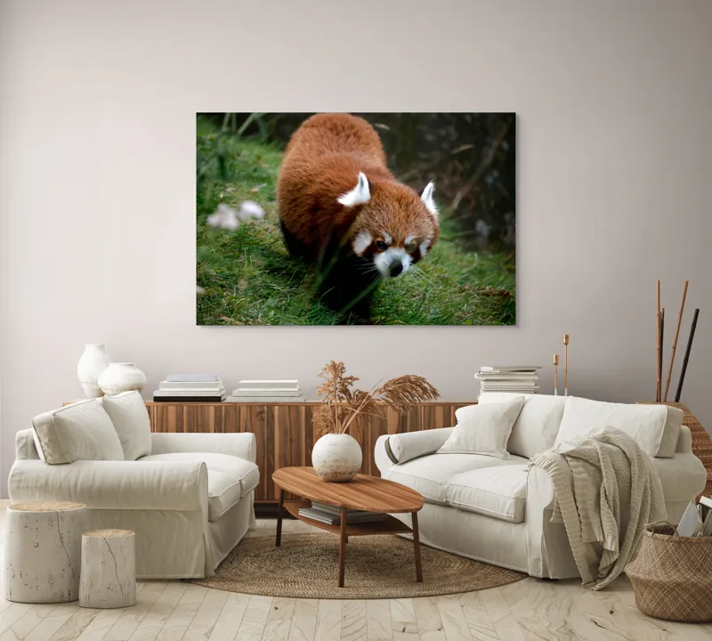 Tablou Canvas, "Mic panda roșu în habitat natural", 150 x 100 cm – poza 3