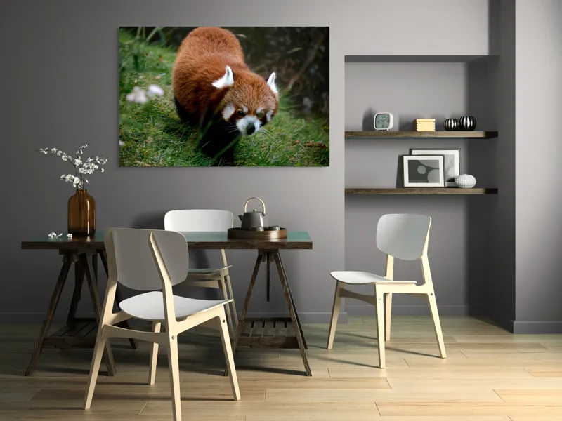 Tablou Canvas, "Mic panda roșu în habitat natural", 150 x 100 cm – poza 5