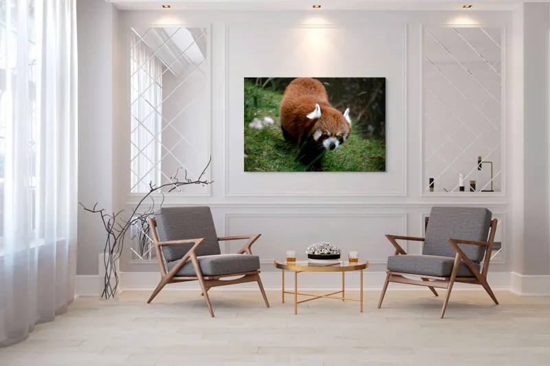 Tablou Canvas, "Mic panda roșu în habitat natural", 150 x 100 cm – poza 7