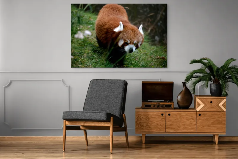 Tablou Canvas, "Mic panda roșu în habitat natural", 150 x 100 cm – poza 8