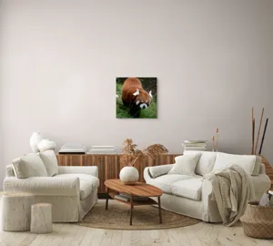 Tablou Canvas, "Mic panda roșu în habitat natural", 50 x 50 cm – poza 7