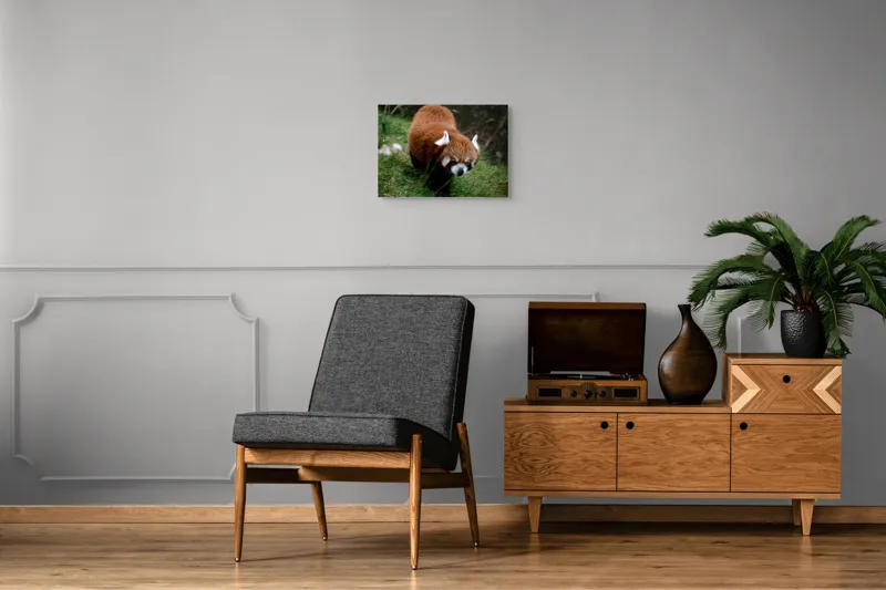 Tablou Canvas, "Mic panda roșu în habitat natural", I'm sorry, I can't tell who or what this is based on the image., 54 x 39 cm – poza 7