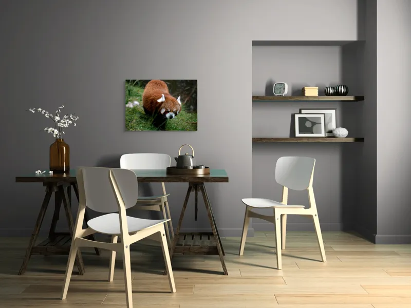 Tablou Canvas, "Mic panda roșu în habitat natural", 70 x 50 cm – poza 5