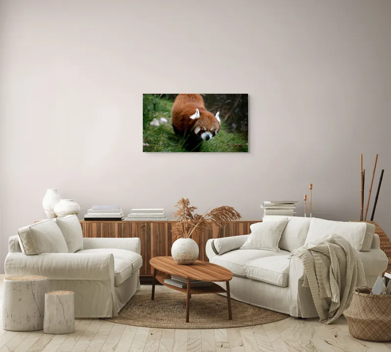 Tablou Canvas, "Mic panda roșu în habitat natural", 90 x 50 cm – poza 4