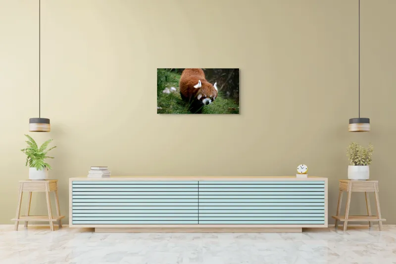Tablou Canvas, "Mic panda roșu în habitat natural", 90 x 50 cm – poza 5